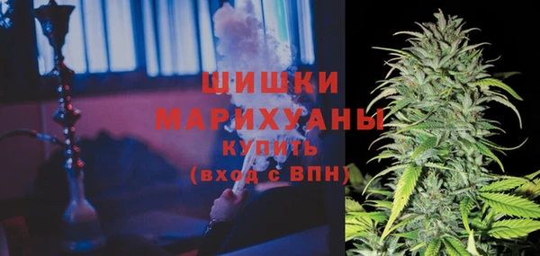 винт Болотное